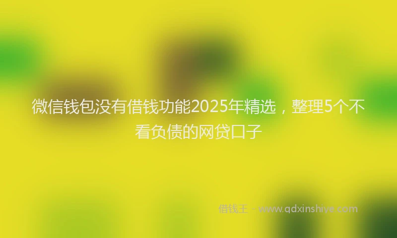 微信钱包没有借钱功能2025年精选，整理5个不看负债的网贷口子
