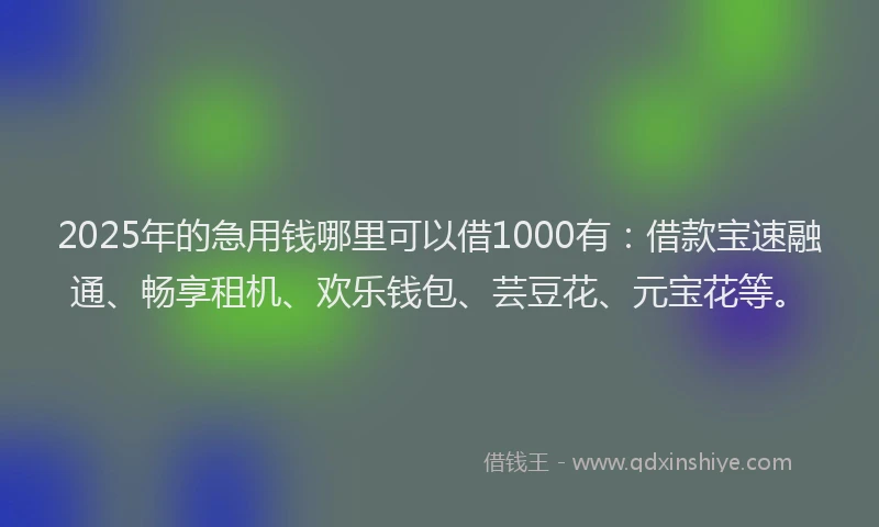 2025年的急用钱哪里可以借1000有：借款宝速融通、畅享租机、欢乐钱包、芸豆花、元宝花等。