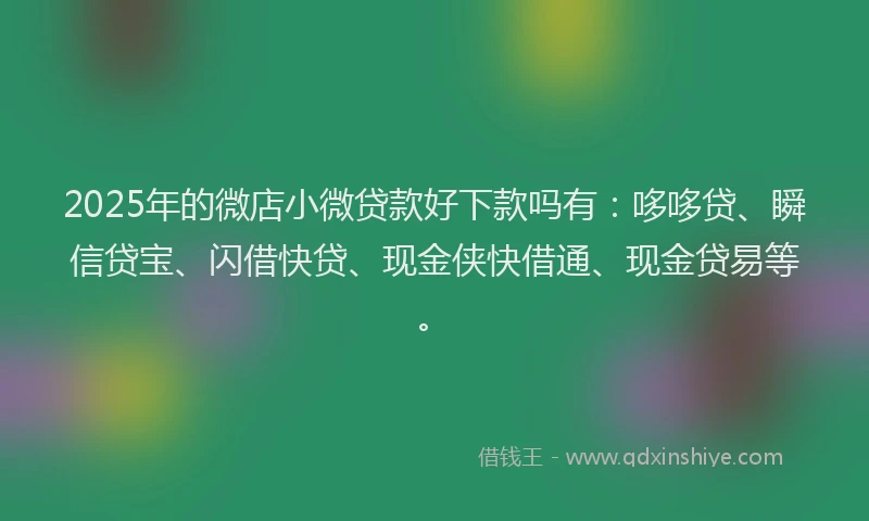 2025年的微店小微贷款好下款吗有：哆哆贷、瞬信贷宝、闪借快贷、现金侠快借通、现金贷易等。