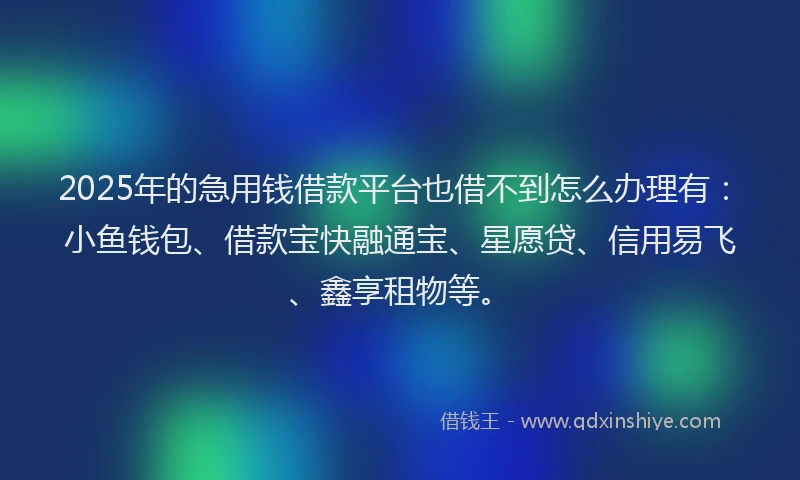 2025年的急用钱借款平台也借不到怎么办理有：小鱼钱包、借款宝快融通宝、星愿贷、信用易飞、鑫享租物等。