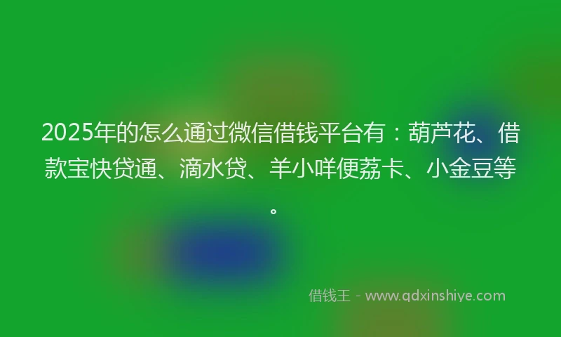 2025年的怎么通过微信借钱平台有：葫芦花、借款宝快贷通、滴水贷、羊小咩便荔卡、小金豆等。