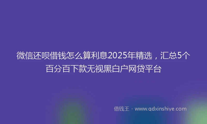 微信还呗借钱怎么算利息2025年精选，汇总5个百分百下款无视黑白户网贷平台