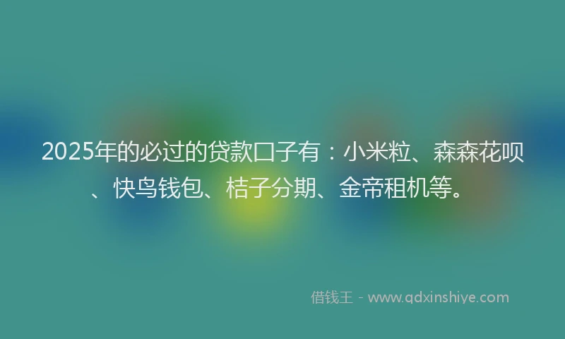 2025年的必过的贷款囗子有：小米粒、森森花呗、快鸟钱包、桔子分期、金帝租机等。