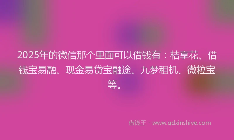 2025年的微信那个里面可以借钱有：桔享花、借钱宝易融、现金易贷宝融途、九梦租机、微粒宝等。