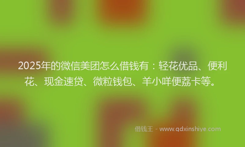 2025年的微信美团怎么借钱有：轻花优品、便利花、现金速贷、微粒钱包、羊小咩便荔卡等。