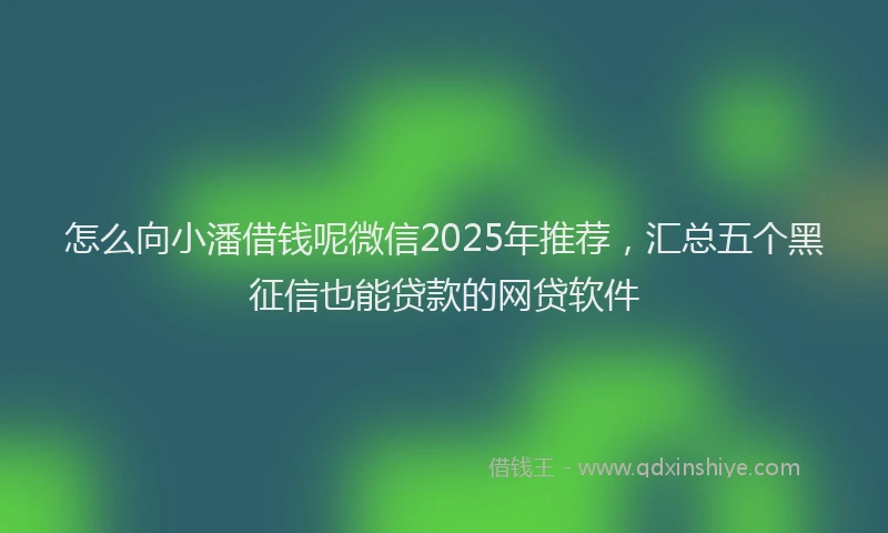 怎么向小潘借钱呢微信2025年推荐，汇总五个黑征信也能贷款的网贷软件