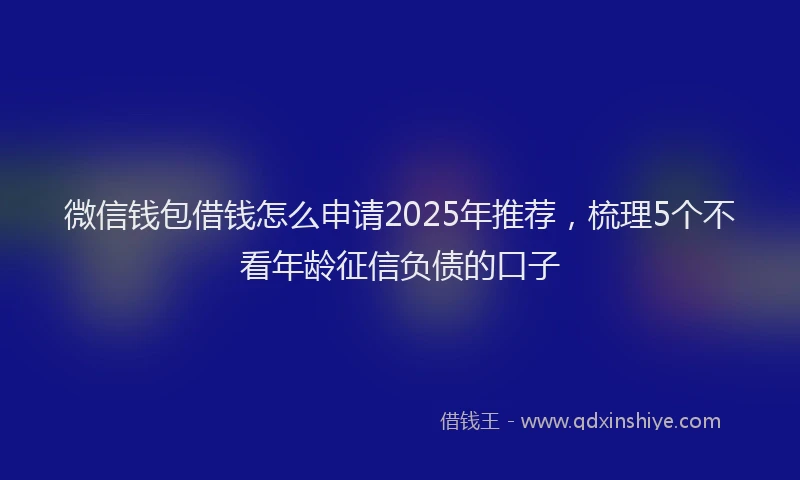 微信钱包借钱怎么申请2025年推荐，梳理5个不看年龄征信负债的口子