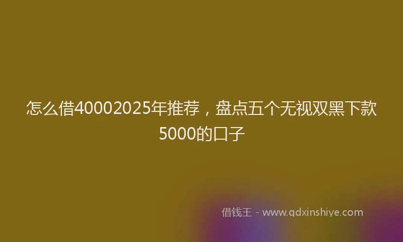 怎么借40002025年推荐，盘点五个无视双黑下款5000的口子