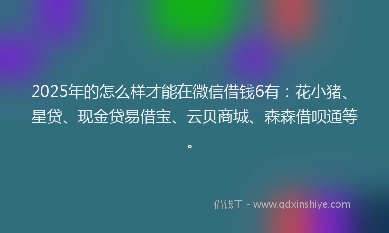 2025年的怎么样才能在微信借钱6有：花小猪、星贷、现金贷易借宝、云贝商城、森森借呗通等。