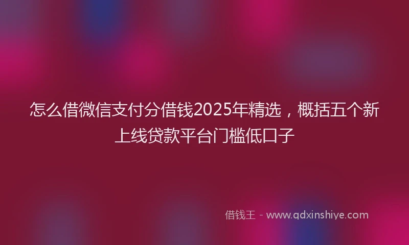 怎么借微信支付分借钱2025年精选，概括五个新上线贷款平台门槛低口子