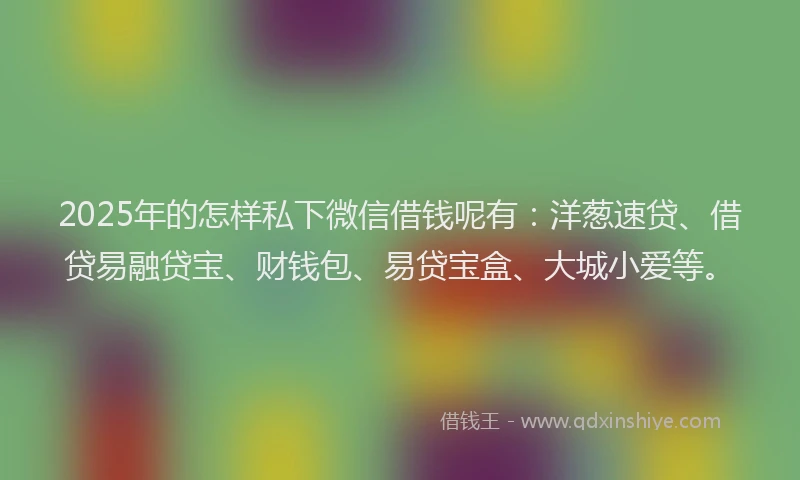 2025年的怎样私下微信借钱呢有：洋葱速贷、借贷易融贷宝、财钱包、易贷宝盒、大城小爱等。