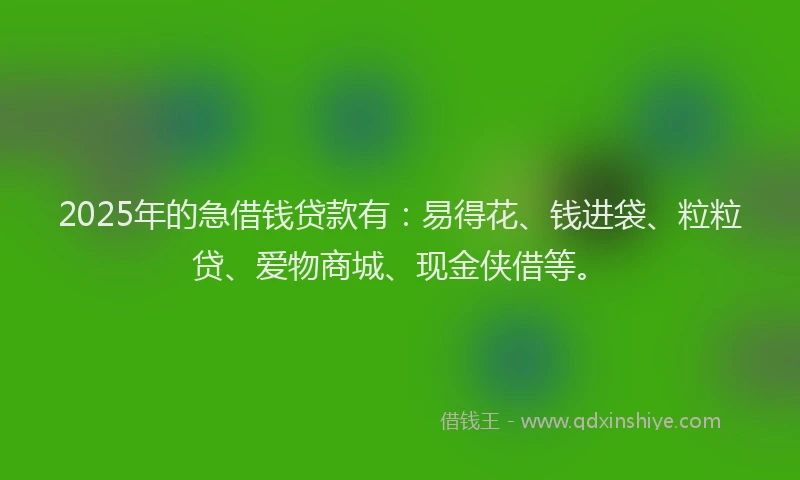 2025年的急借钱贷款有：易得花、钱进袋、粒粒贷、爱物商城、现金侠借等。