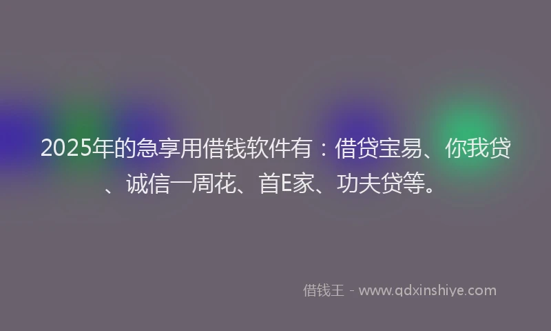 2025年的急享用借钱软件有：借贷宝易、你我贷、诚信一周花、首E家、功夫贷等。