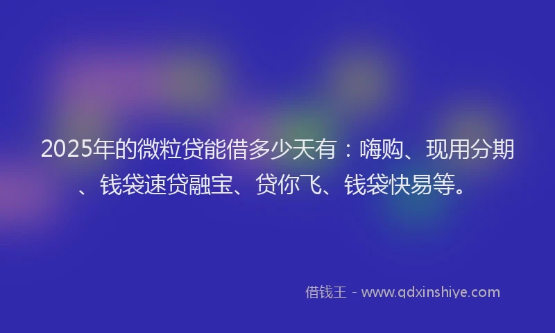 2025年的微粒贷能借多少天有：嗨购、现用分期、钱袋速贷融宝、贷你飞、钱袋快易等。