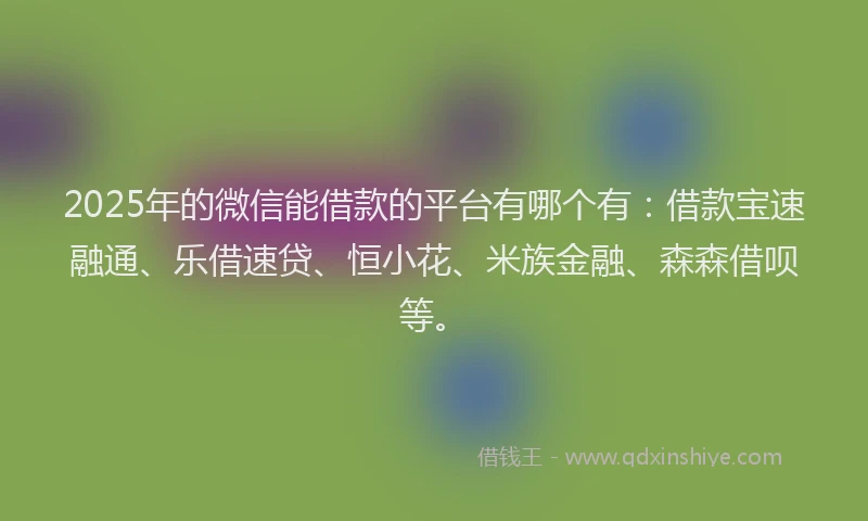 2025年的微信能借款的平台有哪个有：借款宝速融通、乐借速贷、恒小花、米族金融、森森借呗等。