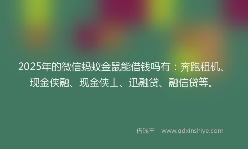 2025年的微信蚂蚁金鼠能借钱吗有：奔跑租机、现金侠融、现金侠士、迅融贷、融信贷等。