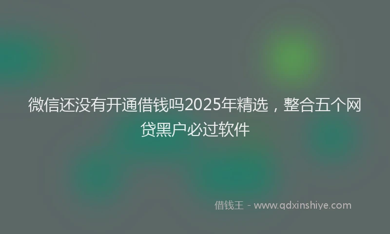 微信还没有开通借钱吗2025年精选，整合五个网贷黑户必过软件