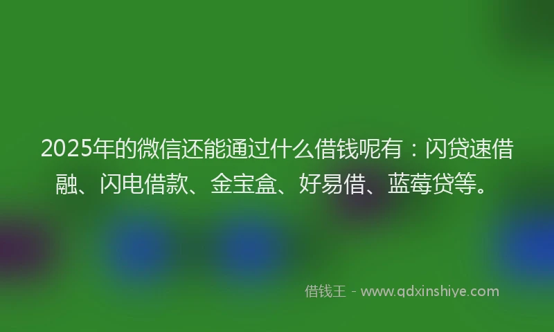 2025年的微信还能通过什么借钱呢有：闪贷速借融、闪电借款、金宝盒、好易借、蓝莓贷等。