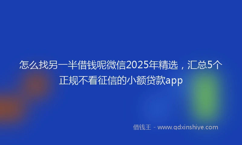 怎么找另一半借钱呢微信2025年精选，汇总5个正规不看征信的小额贷款app