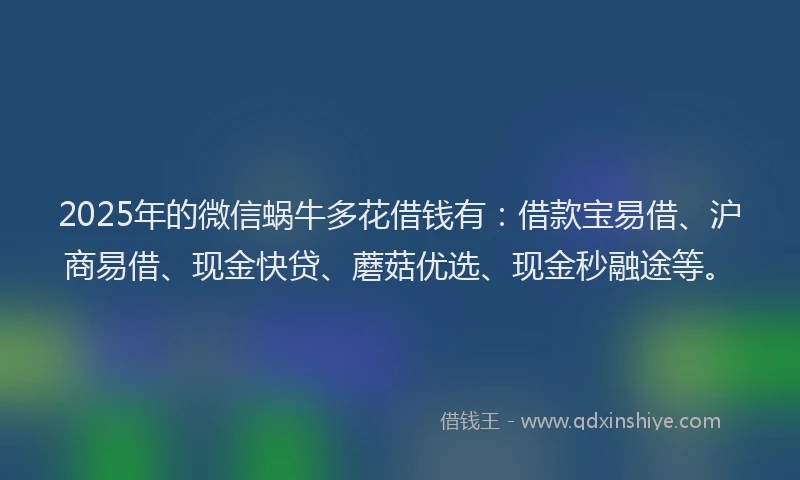 2025年的微信蜗牛多花借钱有：借款宝易借、沪商易借、现金快贷、蘑菇优选、现金秒融途等。