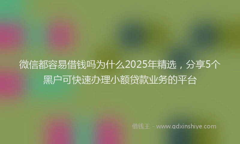 微信都容易借钱吗为什么2025年精选，分享5个黑户可快速办理小额贷款业务的平台