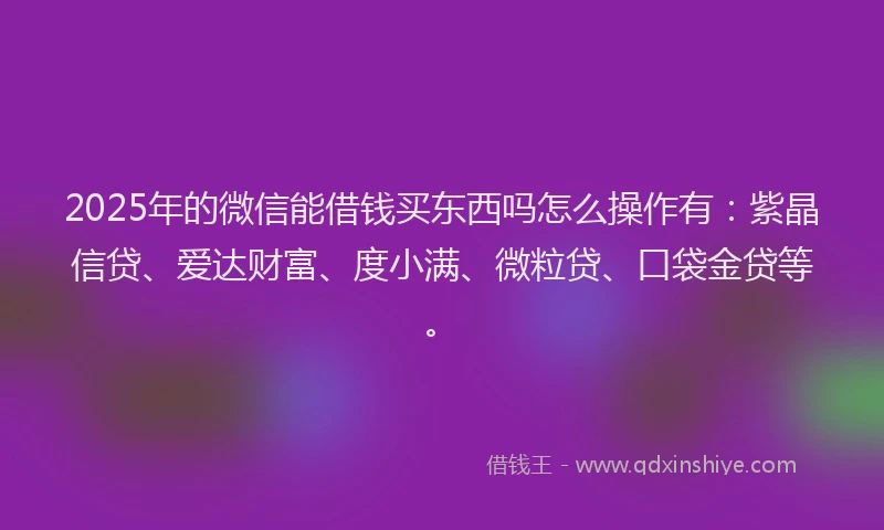 2025年的微信能借钱买东西吗怎么操作有：紫晶信贷、爱达财富、度小满、微粒贷、口袋金贷等。