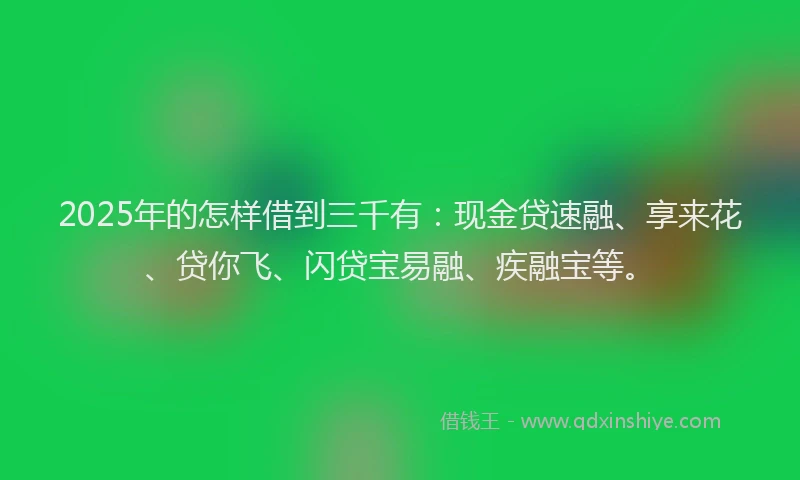 2025年的怎样借到三千有：现金贷速融、享来花、贷你飞、闪贷宝易融、疾融宝等。