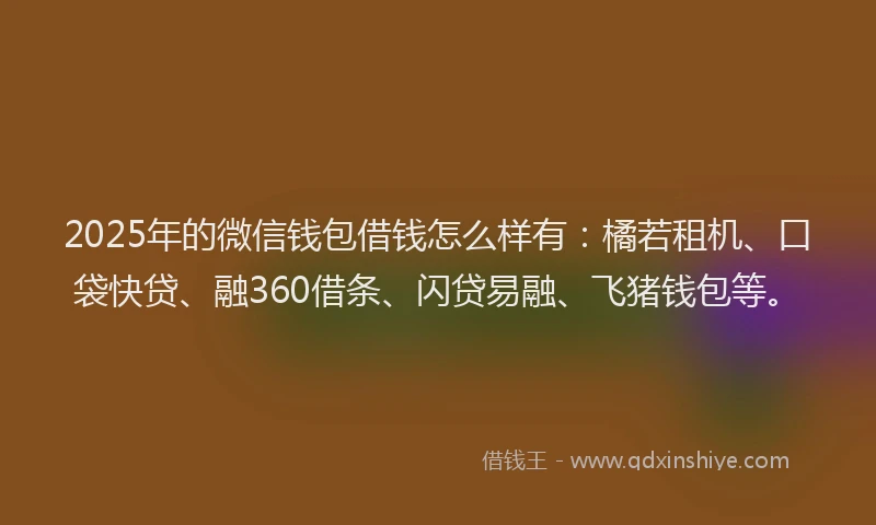 2025年的微信钱包借钱怎么样有：橘若租机、口袋快贷、融360借条、闪贷易融、飞猪钱包等。