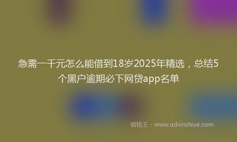 急需一千元怎么能借到18岁2025年精选，总结5个黑户逾期必下网贷app名单