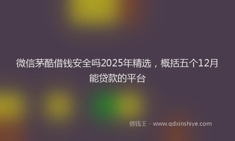 微信茅酷借钱安全吗2025年精选，概括五个12月能贷款的平台