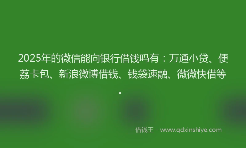 2025年的微信能向银行借钱吗有：万通小贷、便荔卡包、新浪微博借钱、钱袋速融、微微快借等。