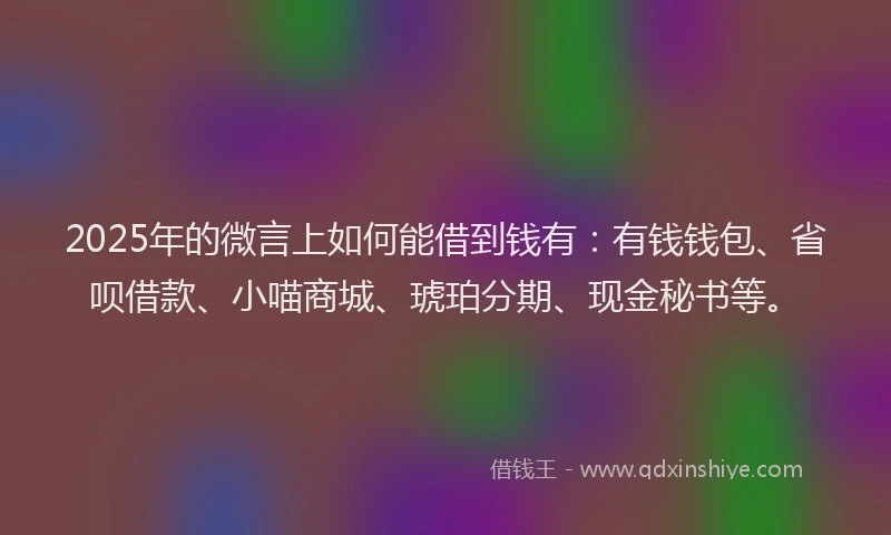 2025年的微言上如何能借到钱有：有钱钱包、省呗借款、小喵商城、琥珀分期、现金秘书等。