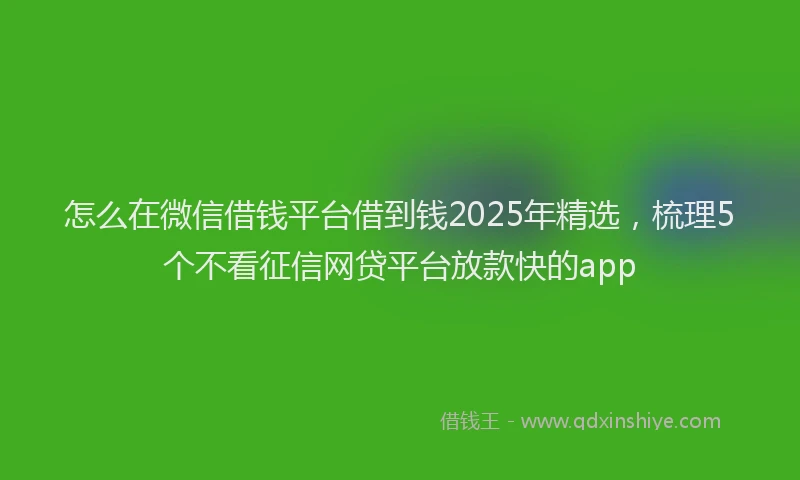 怎么在微信借钱平台借到钱2025年精选，梳理5个不看征信网贷平台放款快的app