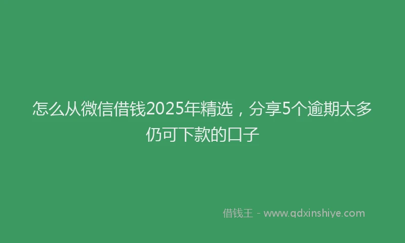 怎么从微信借钱2025年精选，分享5个逾期太多仍可下款的口子
