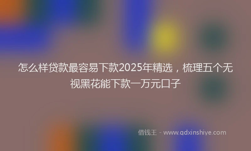 怎么样贷款最容易下款2025年精选，梳理五个无视黑花能下款一万元口子