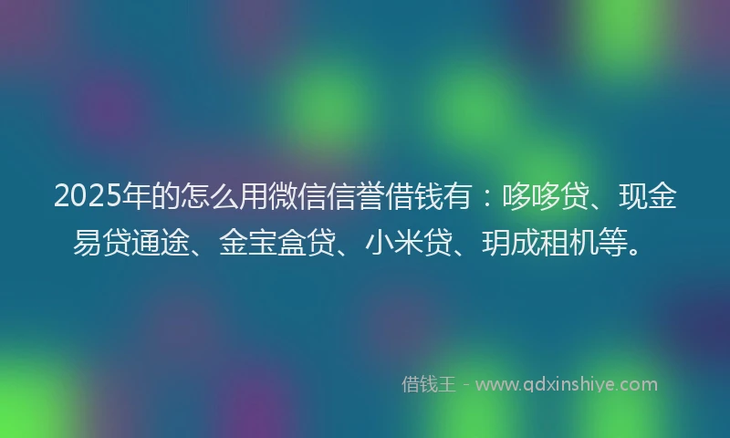 2025年的怎么用微信信誉借钱有：哆哆贷、现金易贷通途、金宝盒贷、小米贷、玥成租机等。