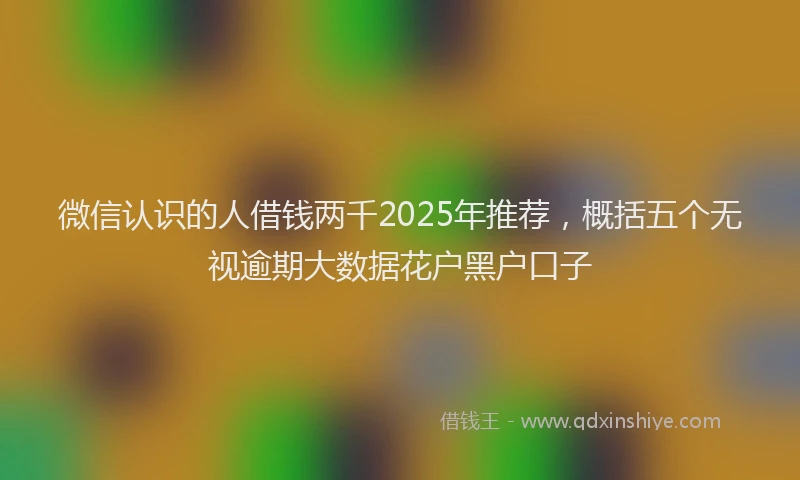 微信认识的人借钱两千2025年推荐，概括五个无视逾期大数据花户黑户口子