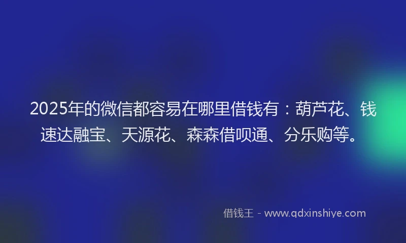 2025年的微信都容易在哪里借钱有：葫芦花、钱速达融宝、天源花、森森借呗通、分乐购等。