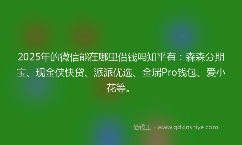 2025年的微信能在哪里借钱吗知乎有：森森分期宝、现金侠快贷、派派优选、金瑞Pro钱包、爱小花等。