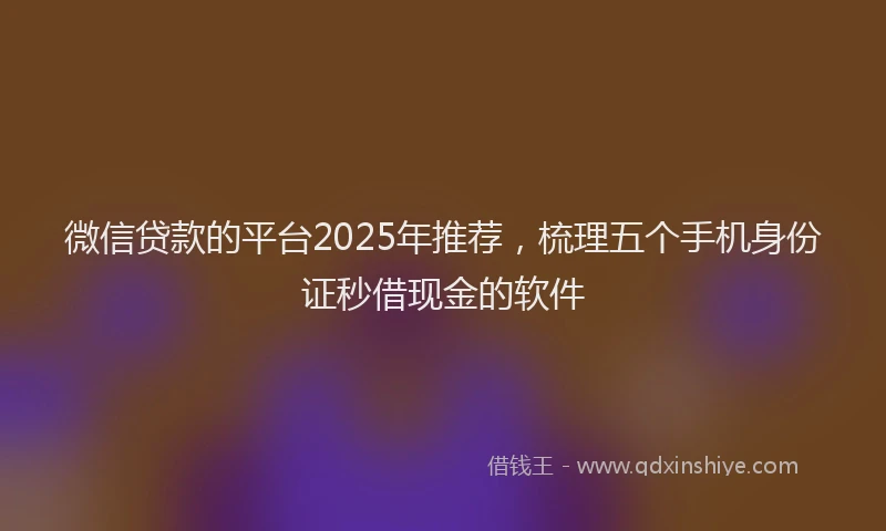 微信贷款的平台2025年推荐，梳理五个手机身份证秒借现金的软件