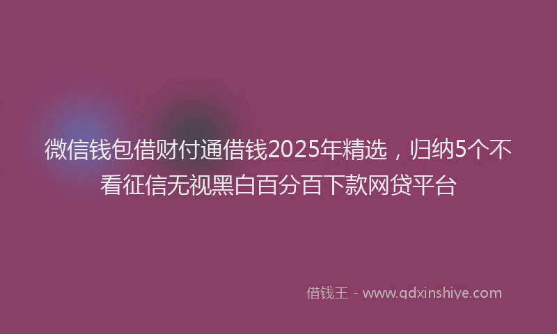 微信钱包借财付通借钱2025年精选，归纳5个不看征信无视黑白百分百下款网贷平台