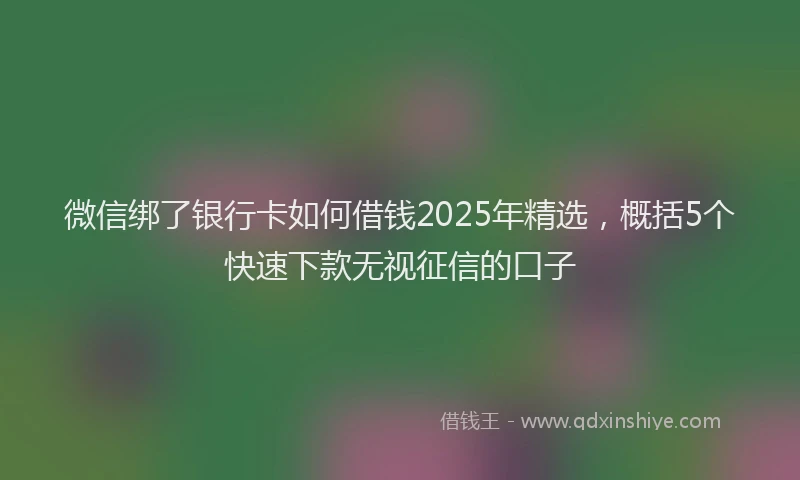 微信绑了银行卡如何借钱2025年精选，概括5个快速下款无视征信的口子
