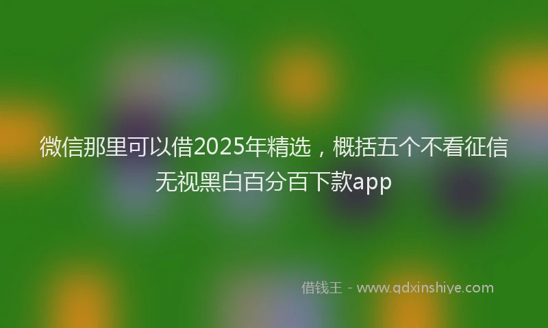 微信那里可以借2025年精选，概括五个不看征信无视黑白百分百下款app