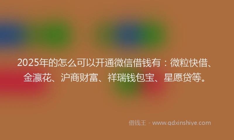2025年的怎么可以开通微信借钱有：微粒快借、金瀛花、沪商财富、祥瑞钱包宝、星愿贷等。