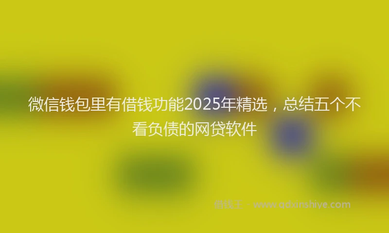 微信钱包里有借钱功能2025年精选，总结五个不看负债的网贷软件