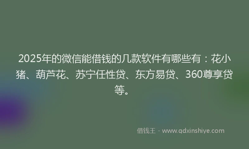2025年的微信能借钱的几款软件有哪些有：花小猪、葫芦花、苏宁任性贷、东方易贷、360尊享贷等。