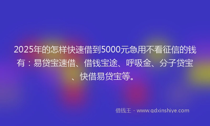 2025年的怎样快速借到5000元急用不看征信的钱有:易贷宝速借、借钱宝途、呼吸金、分子贷宝、快借易贷宝等。