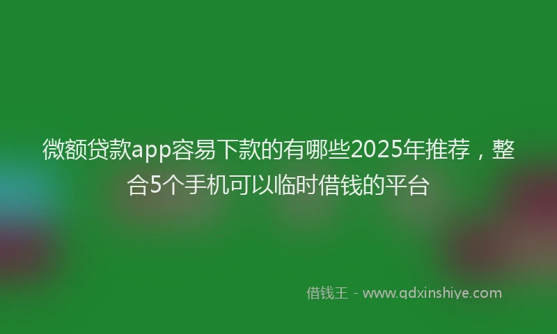 微额贷款app容易下款的有哪些2025年推荐，整合5个手机可以临时借钱的平台