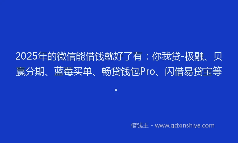 2025年的微信能借钱就好了有：你我贷-极融、贝赢分期、蓝莓买单、畅贷钱包Pro、闪借易贷宝等。