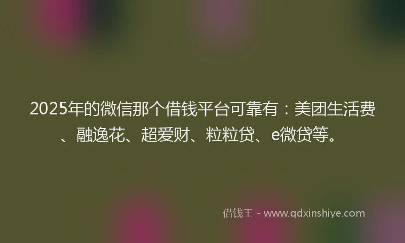 2025年的微信那个借钱平台可靠有：美团生活费、融逸花、超爱财、粒粒贷、e微贷等。